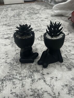 Artificial succulents